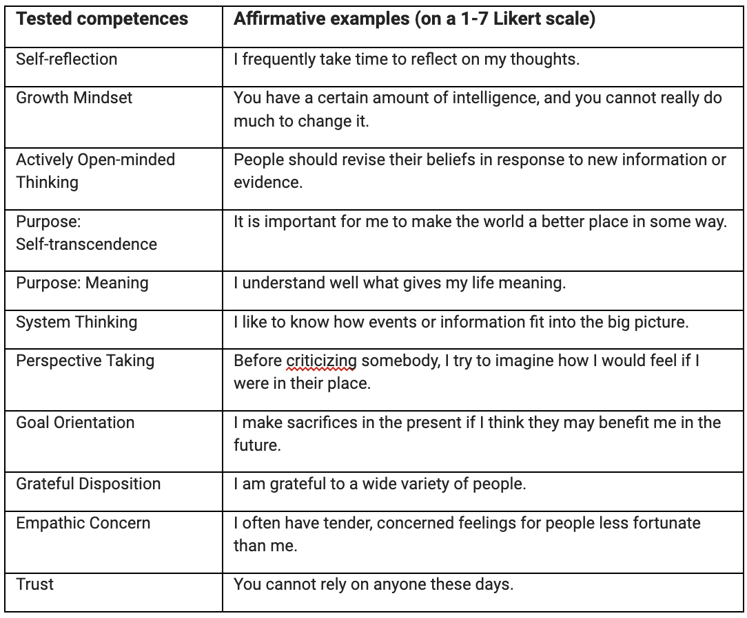 Image 1: Examples of affirmative items for each of the tested competences.